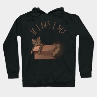 If I Fits i Sits - Tabby Cat Hoodie